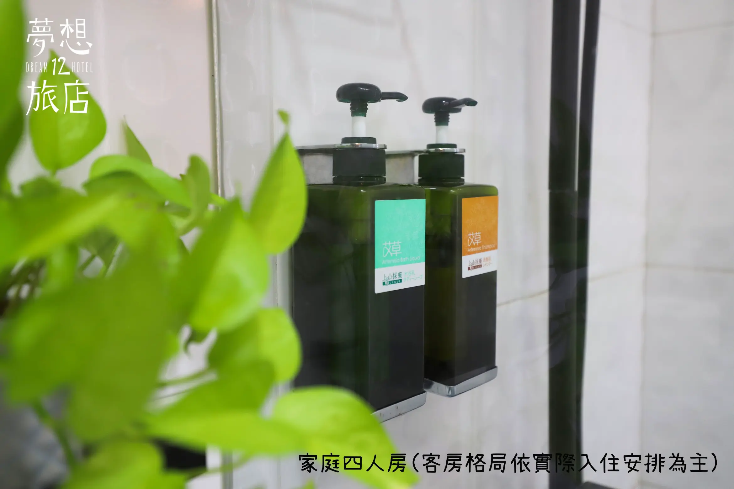 家庭四人房-附陽台